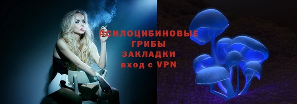 PSILOCYBIN Липки