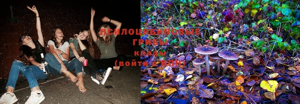 spice Лихославль