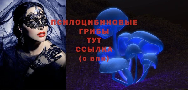 PSILOCYBIN Липки